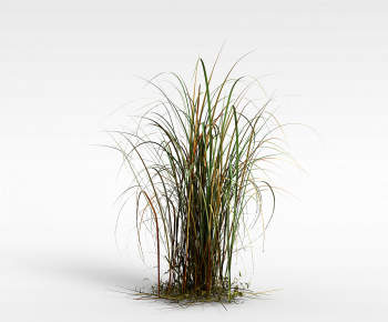 Modern The Grass-ID:521790031