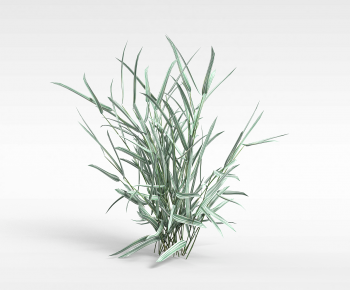 Modern The Grass-ID:276977065