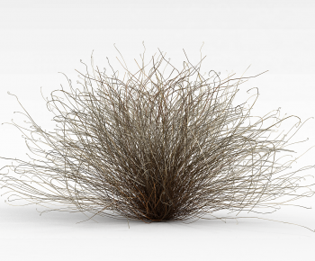 Modern The Grass-ID:163873918