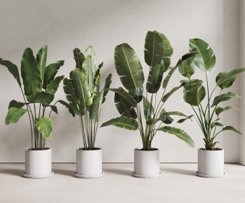 现代落地绿植盆栽组合-ID:514950041