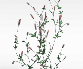 Modern Flowers And Grass-ID:112704997