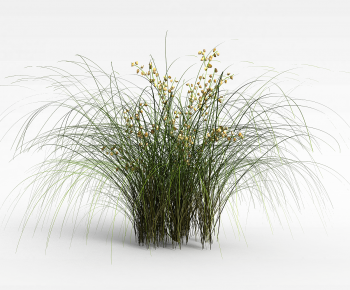 Modern The Grass-ID:780884032