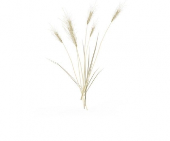 Modern Crop-ID:325505979