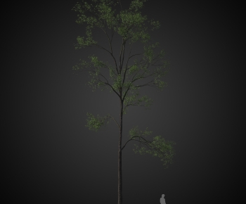 Modern Tree-ID:171677112