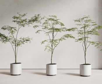 现代落地绿植盆栽组合-ID:317409045