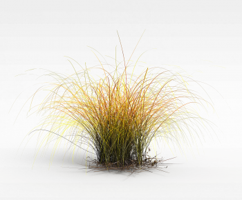 Modern The Grass-ID:850831034