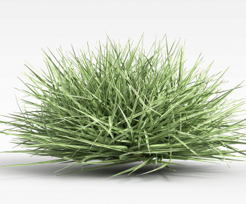 Modern The Grass-ID:957516914
