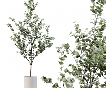 Modern Ground Green Plant Potted Plants-ID:133127936