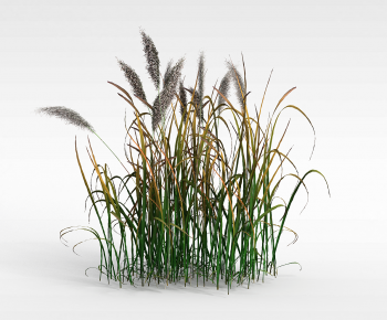 Modern The Grass-ID:294703963