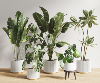 现代落地绿植盆栽组合-ID:670312888