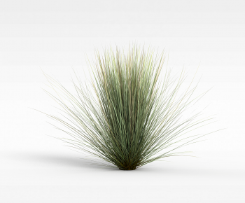 Modern The Grass-ID:795654068