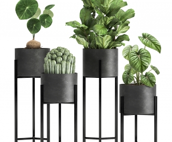 Modern Potted Green Plant-ID:793190027