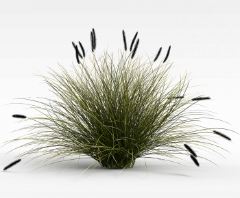 Modern The Grass-ID:834331999