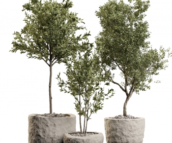 Modern Ground Green Plant Potted Plants-ID:498761898