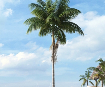 Modern Tree-ID:188698059