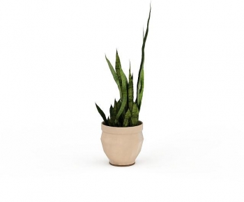 Modern Desktop Plant-ID:929195881