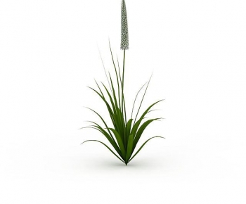 Modern Flowers And Grass-ID:872067938
