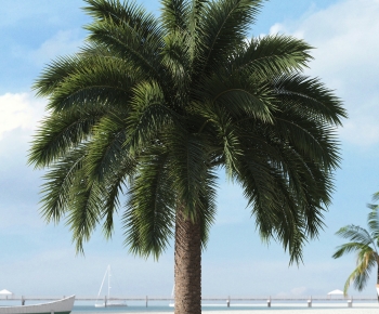Modern Tree-ID:884640936
