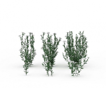 Modern Flowers And Grass-ID:747276072