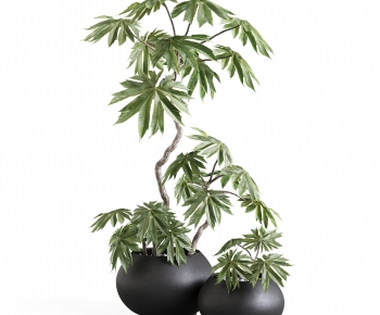 Modern Potted Green Plant-ID:550119962