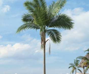 Modern Tree-ID:341056113