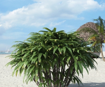 Modern Plant-ID:746268993