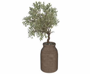 Modern Ground Green Plant Potted Plants-ID:802408933