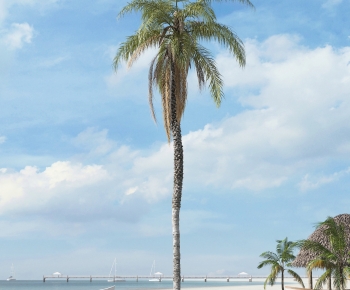 Modern Tree-ID:468431007