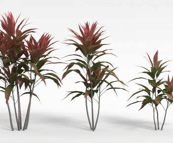 Modern The Grass-ID:276376961