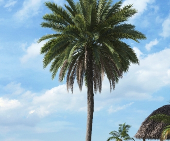 Modern Tree-ID:602680928