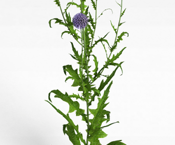 Modern Flowers And Grass-ID:886301993