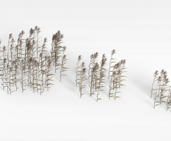 Modern The Grass-ID:147278072