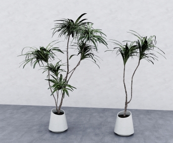 Modern Ground Green Plant Potted Plants-ID:557914976