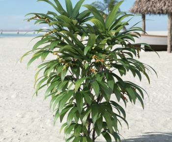 Modern Plant-ID:256068944