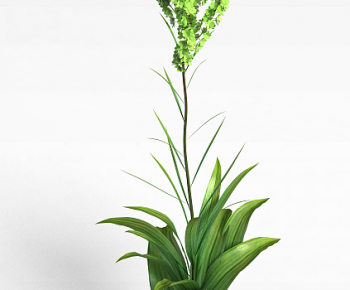 Modern Flowers And Grass-ID:109906912