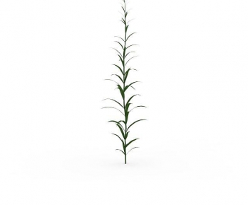 Modern The Grass-ID:925805099