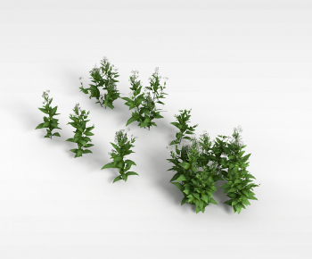 Modern Flowers And Grass-ID:128192902