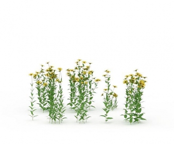 Modern Flowers And Grass-ID:209069011