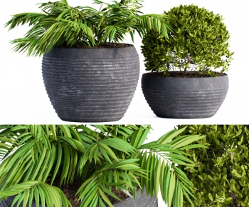 Modern Ground Green Plant Potted Plants-ID:465276001