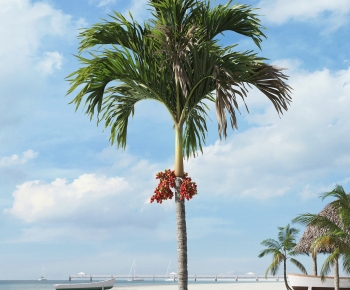 Modern Tree-ID:806303989