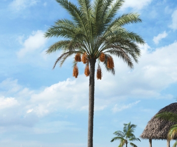 Modern Tree-ID:457344067