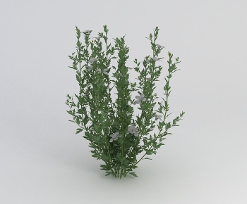 Modern Flowers And Grass-ID:114422086