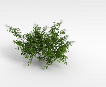 Modern Flowers And Grass-ID:318857916