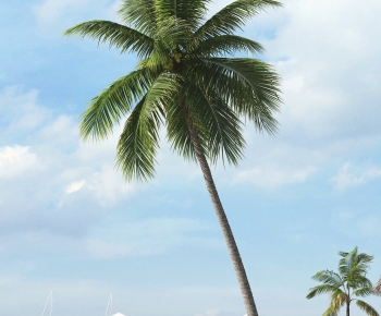 Modern Tree-ID:429234982