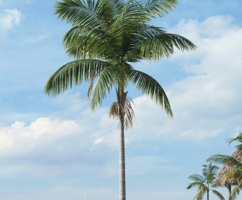 Modern Tree-ID:161504984