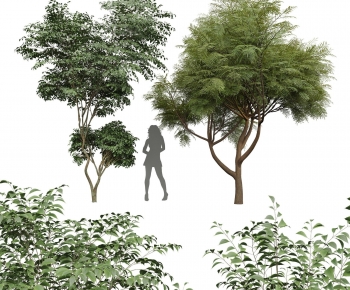 Modern Tree-ID:169442895