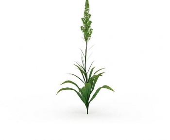 Modern The Grass-ID:136104116