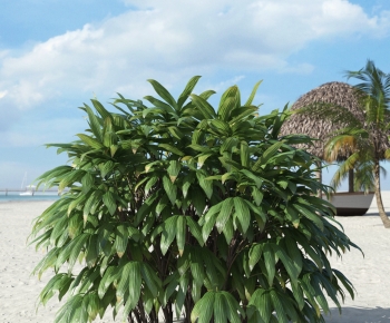 Modern Plant-ID:565671922