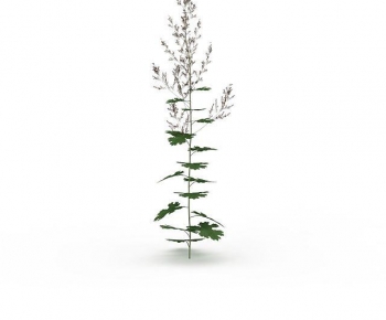 Modern The Grass-ID:755176074