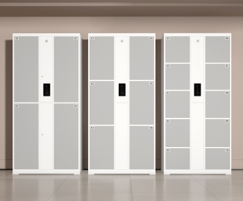 Modern Public Cabinet/lock Cabinet-ID:229709137